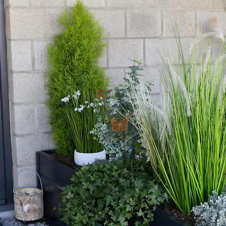 Holiday home Au Coin Du Bois Manhay