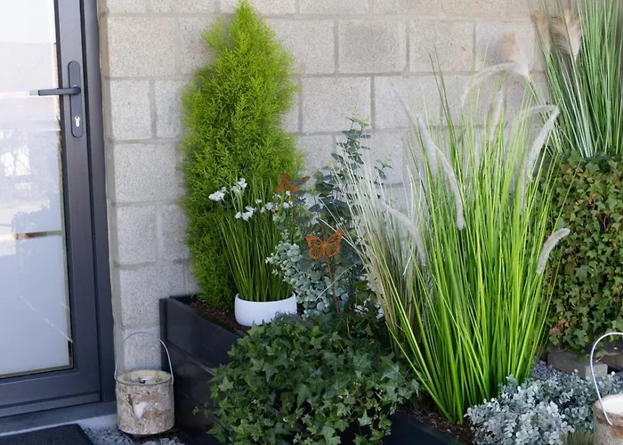 Holiday home Au Coin Du Bois Manhay